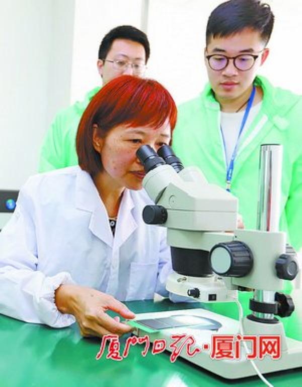 1543216010481903.jpg 4_編輯_編輯.jpg